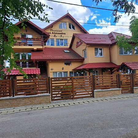 Pensiunea Casa Alexandra Vatra Dornei Ngoại thất bức ảnh
