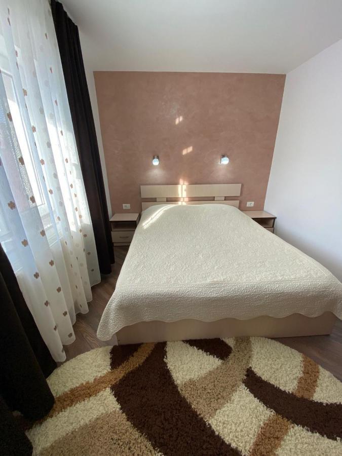 Pensiunea Casa Alexandra Vatra Dornei Ngoại thất bức ảnh