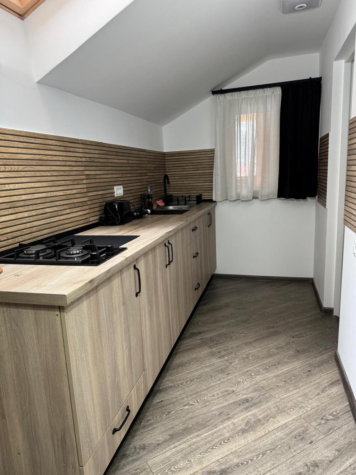 Pensiunea Casa Alexandra Vatra Dornei Ngoại thất bức ảnh