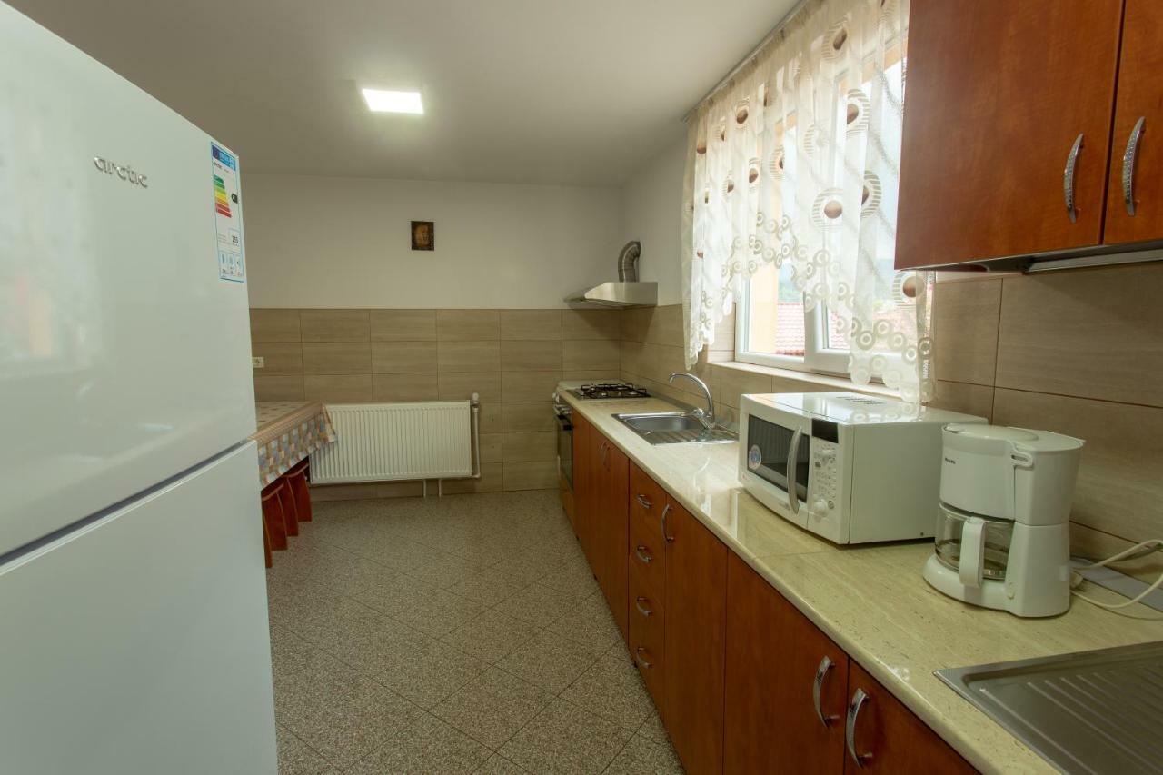 Pensiunea Casa Alexandra Vatra Dornei Ngoại thất bức ảnh