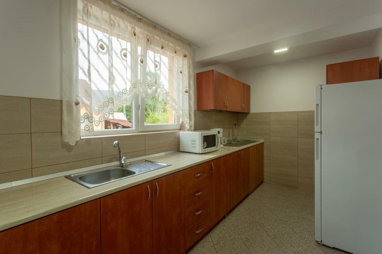 Pensiunea Casa Alexandra Vatra Dornei Ngoại thất bức ảnh
