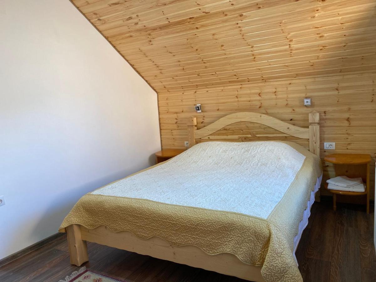 Pensiunea Casa Alexandra Vatra Dornei Ngoại thất bức ảnh