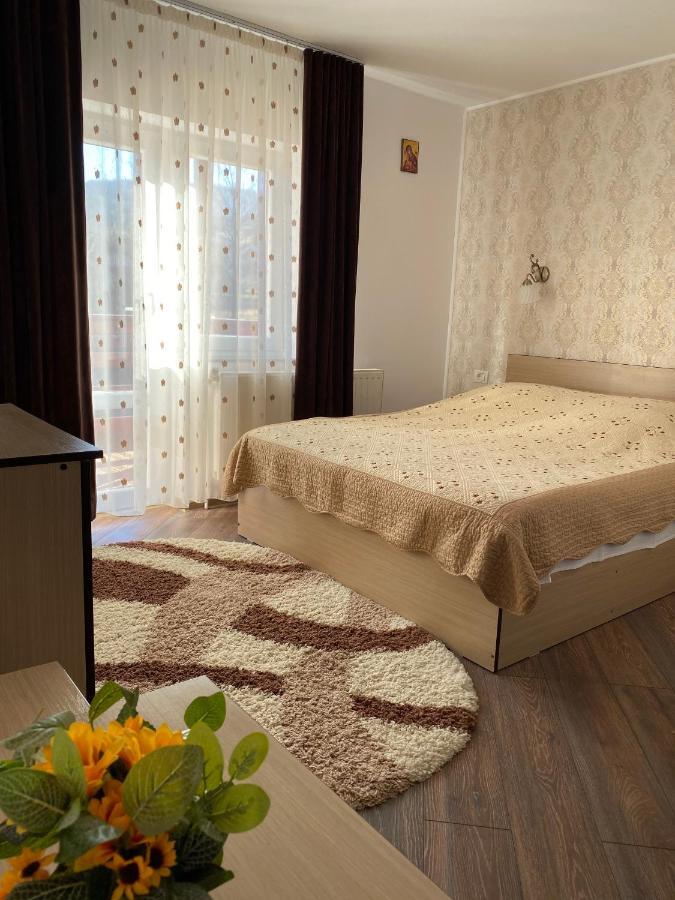 Pensiunea Casa Alexandra Vatra Dornei Ngoại thất bức ảnh